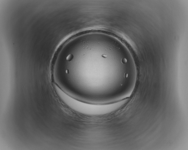 X0000111361316200907101222