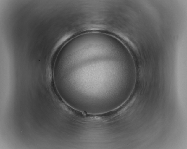 X0000111361317200907101222