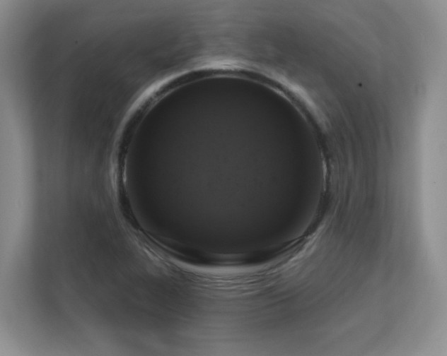 X0000111361319200907101222