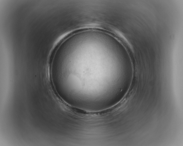 X0000111361320200907101222