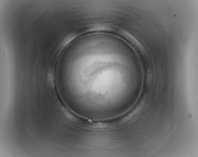 X0000111361321200907101222
