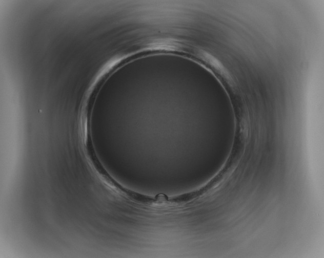 X0000111361323200907101222