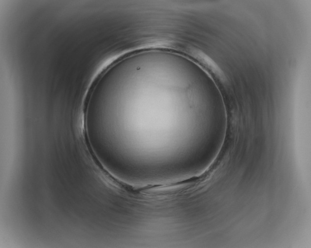 X0000111361324200907101222