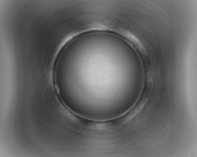 X0000111361326200907101222