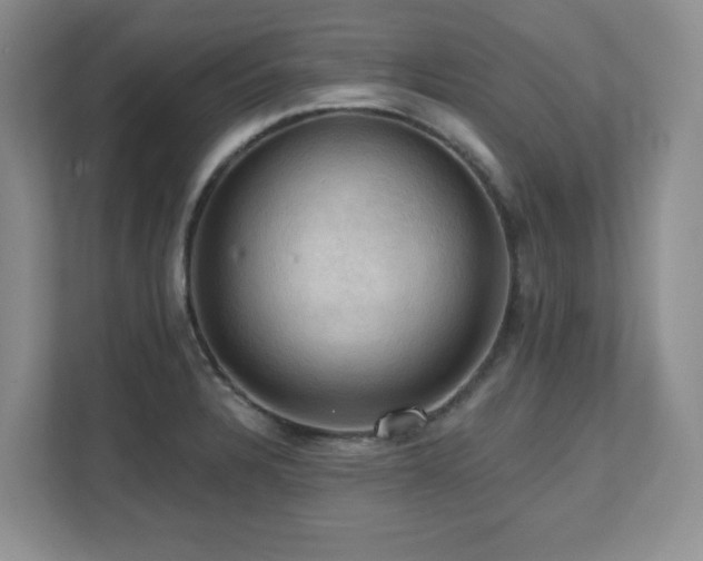 X0000111361328200907101223