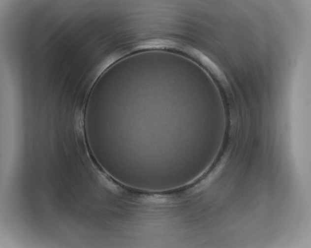 X0000111361329200907101223