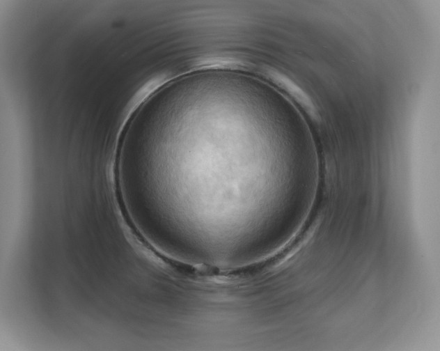 X0000111361330200907101223