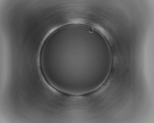 X0000111361331200907101223