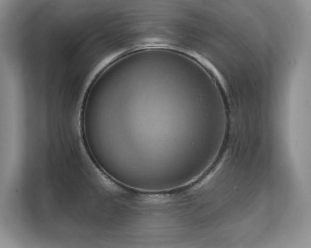 X0000111361333200907101223