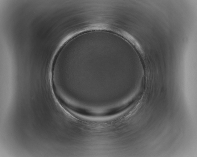 X0000111361334200907101223