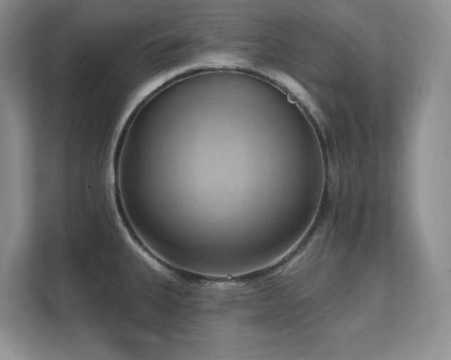 X0000111361335200907101223