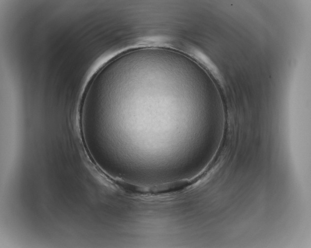 X0000111361336200907101223