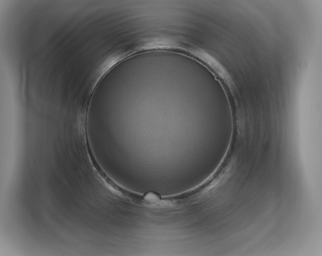 X0000111361337200907101223