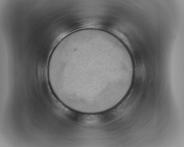 X0000111361338200907101223