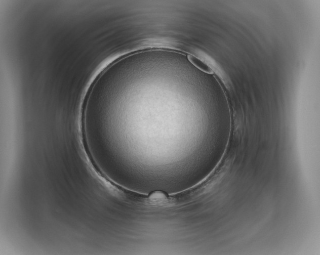 X0000111361339200907101223