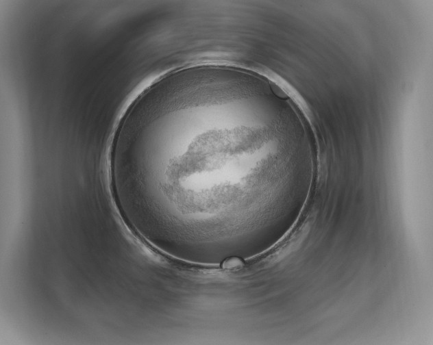 X0000111361341200907101223