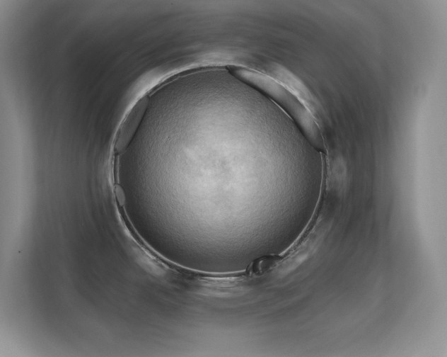 X0000111361342200907101223