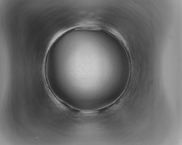 X0000111361344200907101223