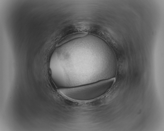 X0000111361345200907101222