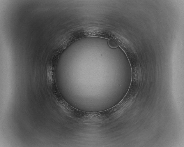 X0000111361346200907101222