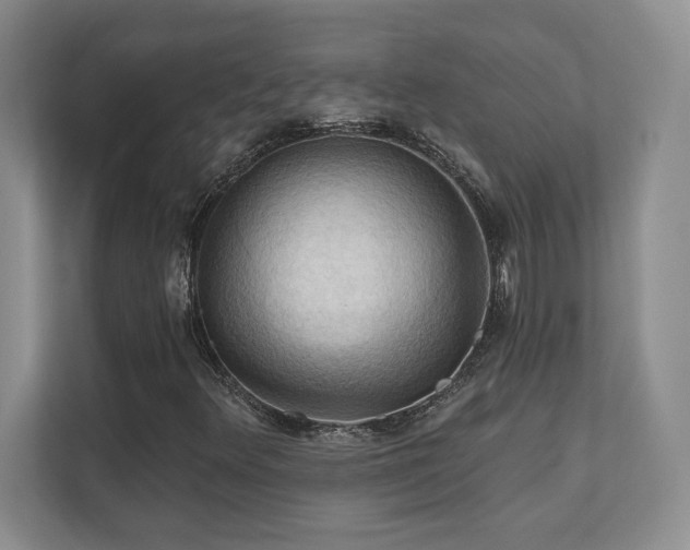 X0000111361348200907101222