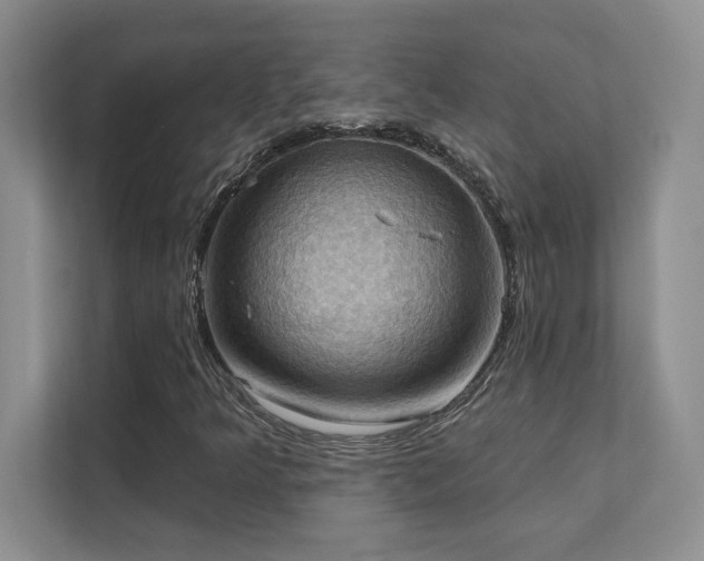 X0000111361349200907101222