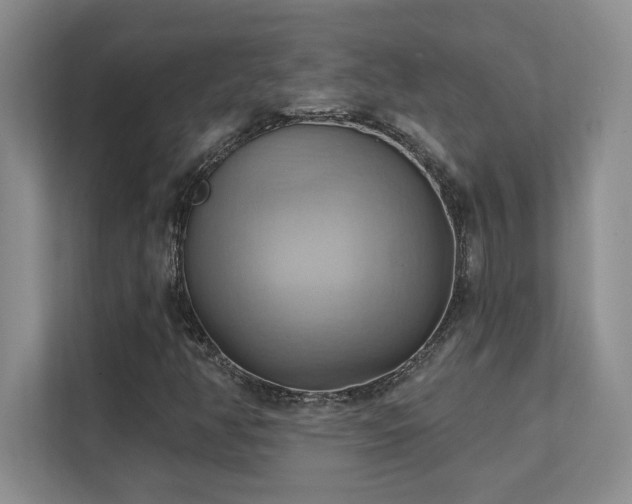 X0000111361350200907101222