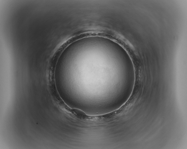 X0000111361352200907101222