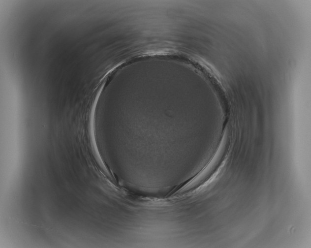 X0000111361353200907101222