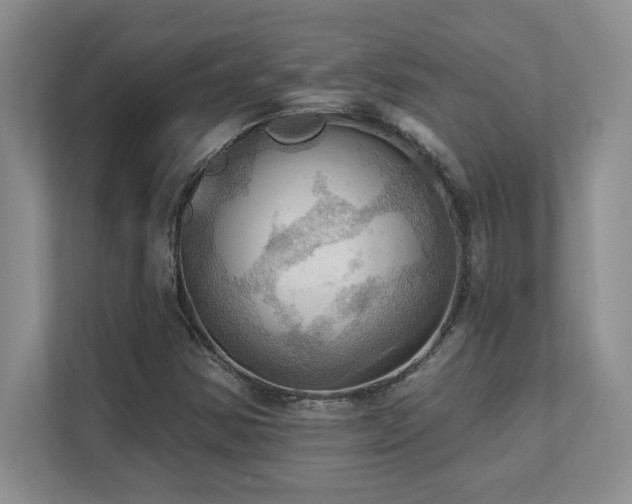 X0000111361354200907101222
