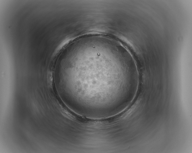 X0000111361355200907101222