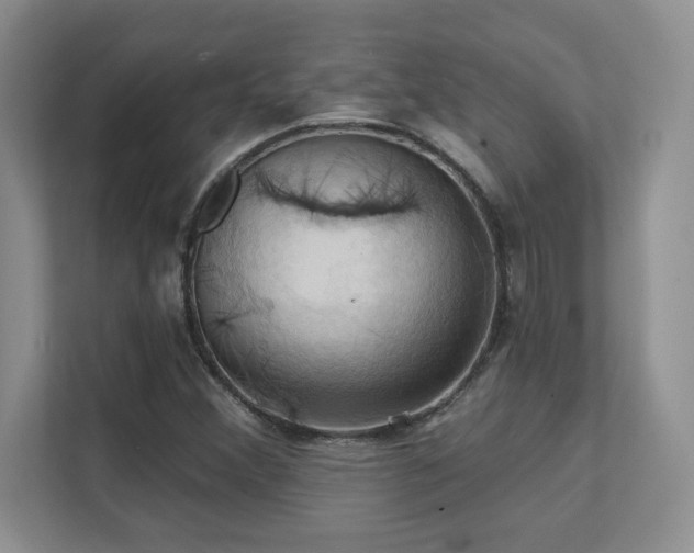 X0000111361356200907101222