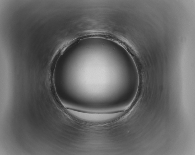 X0000111361357200907101222