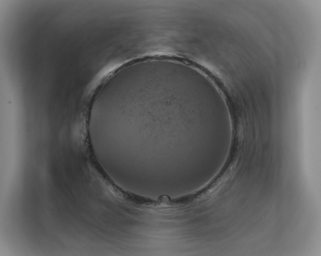 X0000111361359200907101222