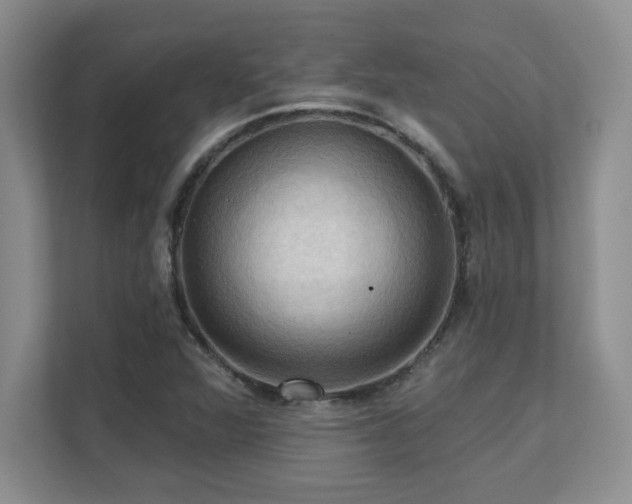X0000111361360200907101222