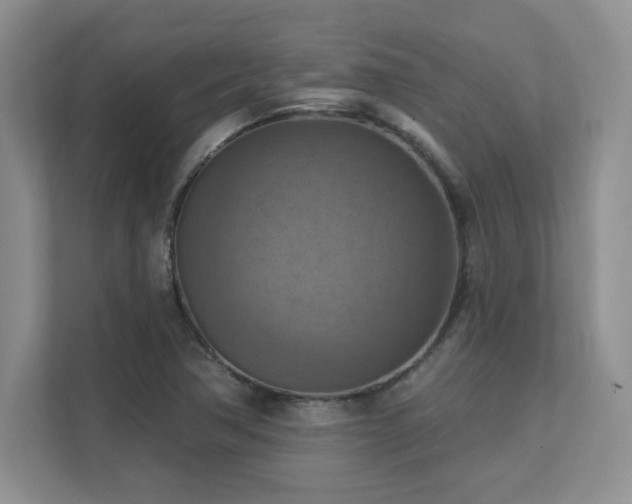 X0000111361362200907101222