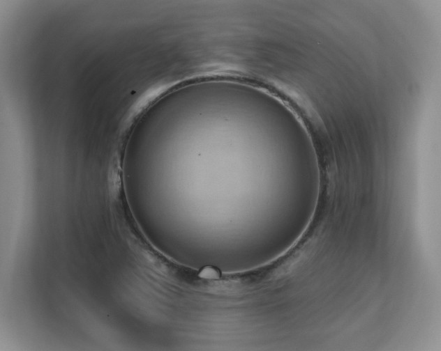 X0000111361363200907101222
