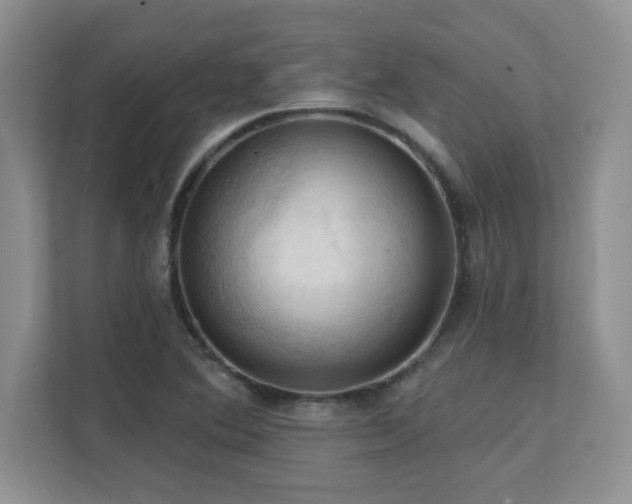 X0000111361364200907101222