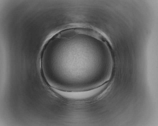 X0000111361365200907101222