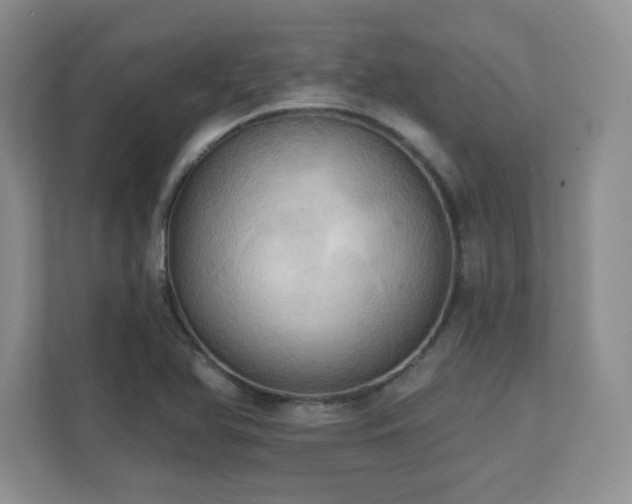 X0000111361366200907101222