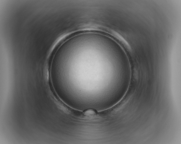 X0000111361368200907101222
