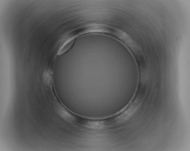 X0000111361369200907101222
