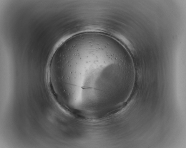 X0000111361371200907101222