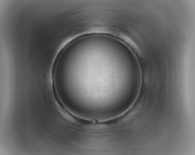 X0000111361372200907101222