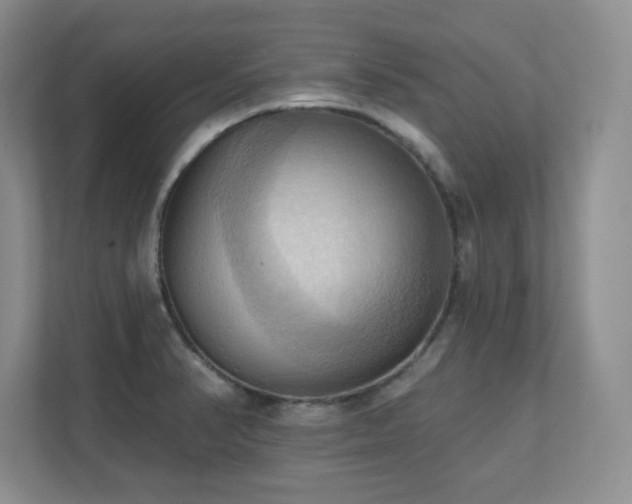 X0000111361374200907101222