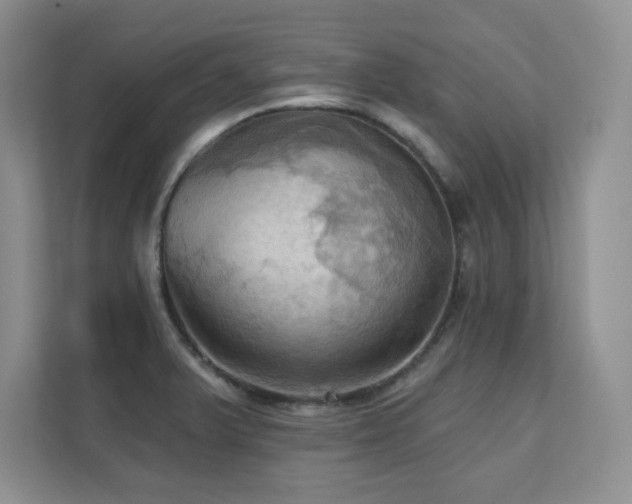 X0000111361375200907101222