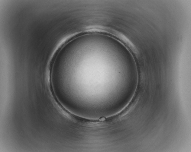 X0000111361376200907101222