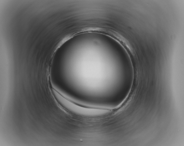X0000111361377200907101222