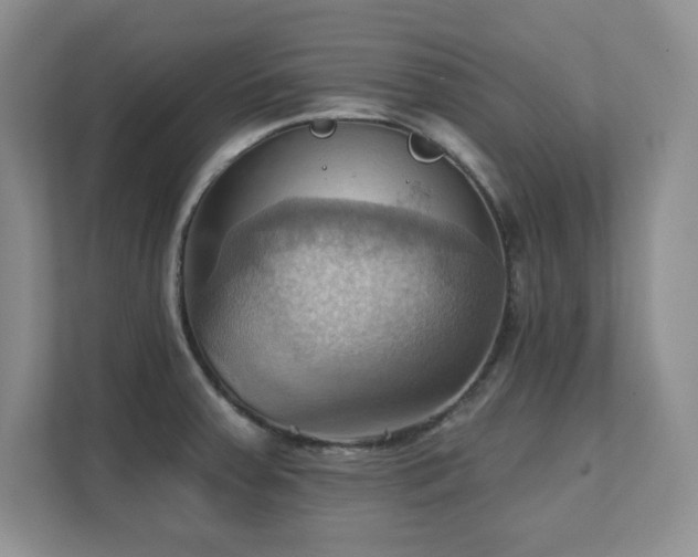 X0000111361379200907101222