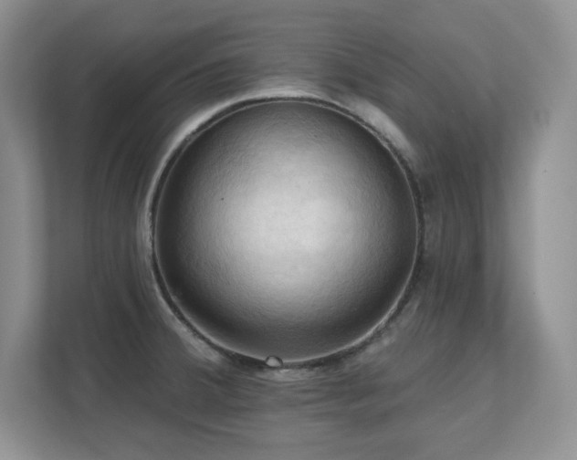 X0000111361380200907101222